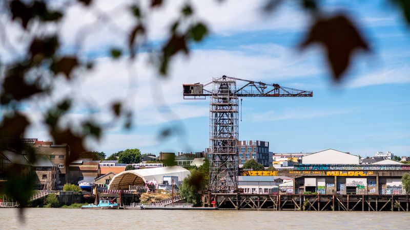 Ces mécènes qui bichonnent la grue noire de Nantes