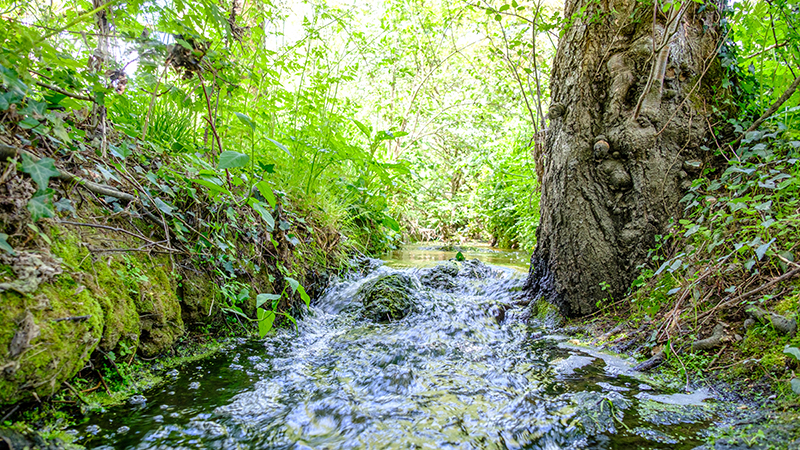 3,7 M€ pour préserver et restaurer le bassin versant de l'Erdre