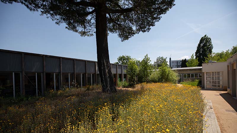 La nouvelle restauration donne sur un espace de verdure pour une pause déjeuner relaxante. © Ludovic Failler pour Nantes Métropole.