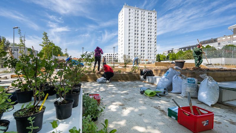 Le nouveau square Michelle Palas aux Lauriers, avec ses potagers participatifs © Julien Gazeau.