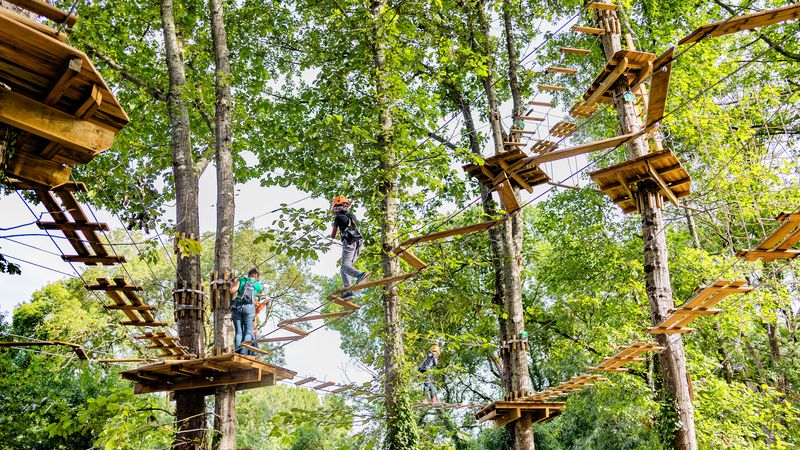 L’accès aux différents parcours s’effectue se fait au même endroit par trois grands escaliers en bois afin de limiter l’emprise au sol et préserver les sous-bois. © Granace Wester pour la Ville de Nantes