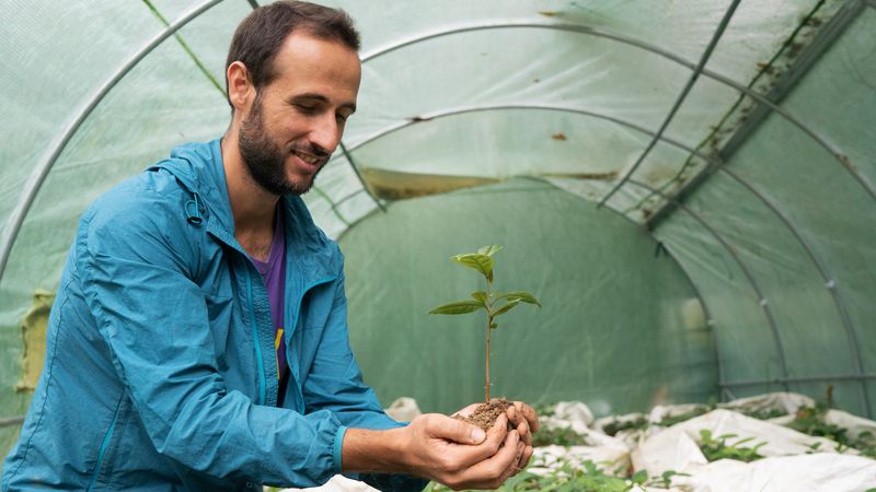 Depuis 2023, 4000 théiers et 400 arbustes s’enracinent sur la parcelle de Matthieu et Antoine, dans le parc de la Mevellière à Bouaye. Leur première récolte est prévue en 2026.