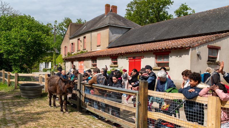 La ferme de la Chantrerie ouvre ses enclos au public tous les mercredis (hors jours fériés) et chaque 1er dimanche du mois de mai à octobre. © Loïc Gatteau / Ville de Nantes 