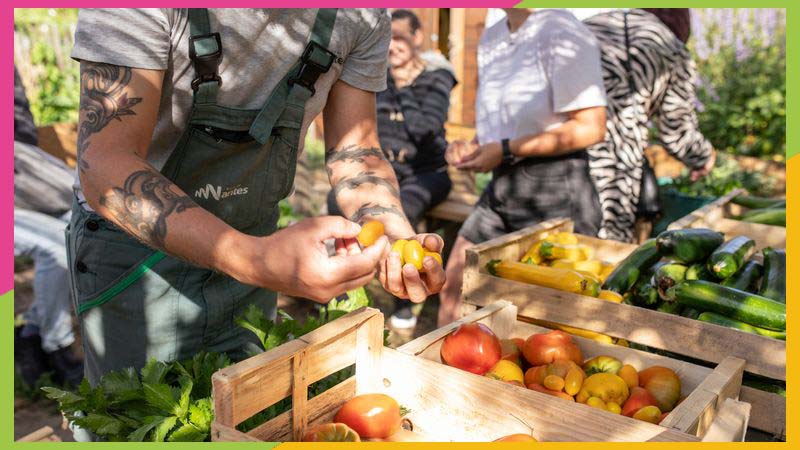Au potager de la Halvêque, bien plus que des légumes