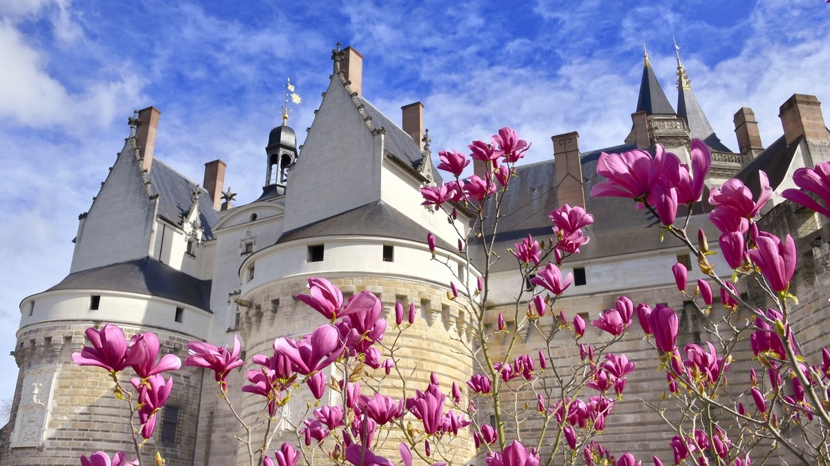 Château des ducs de Bretagne