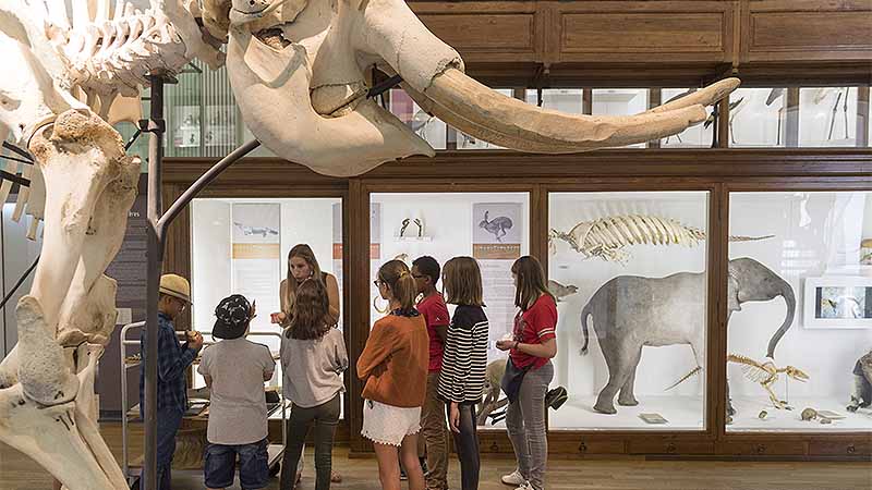 Muséum d’histoire naturelle