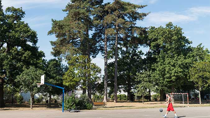 Les plantes et arbres remarquables à Nantes