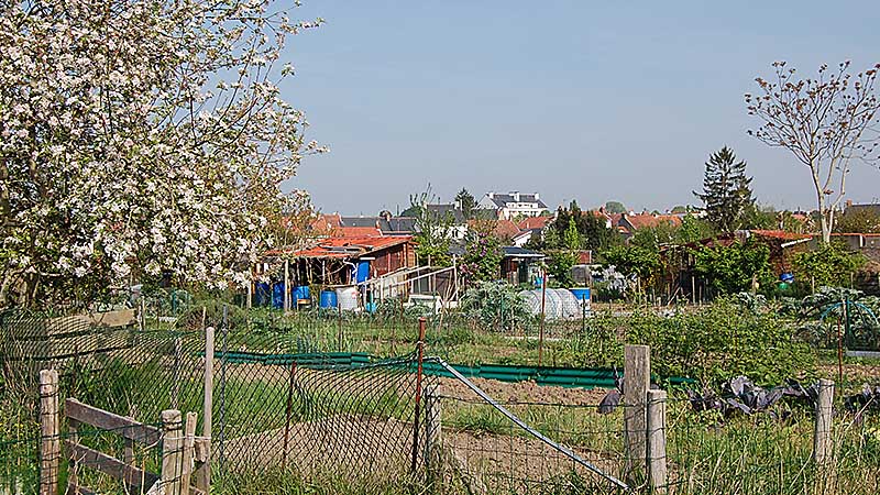 Les jardins de la Fournillère : un hâvre de paix