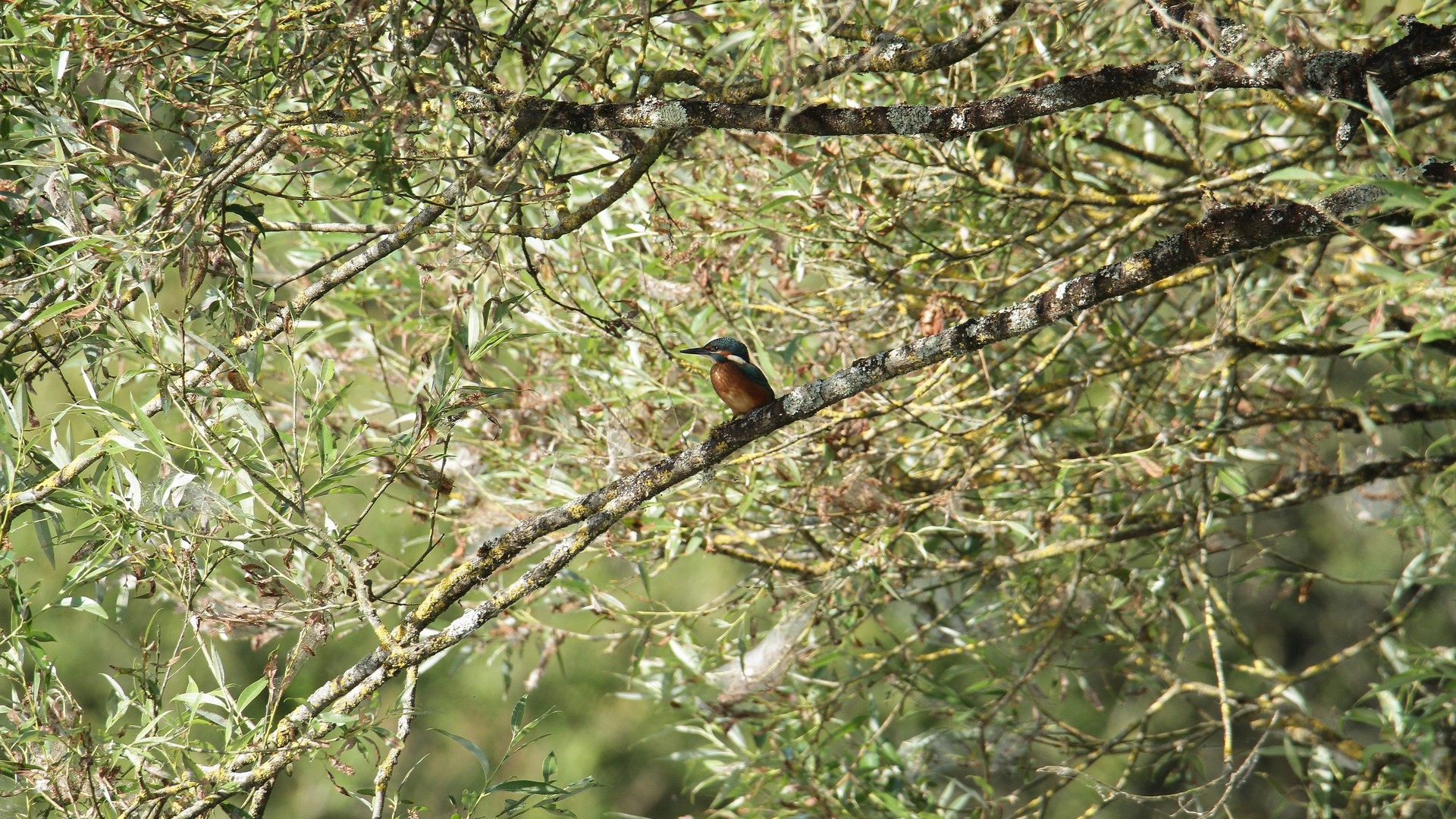 Nature et biodiversité