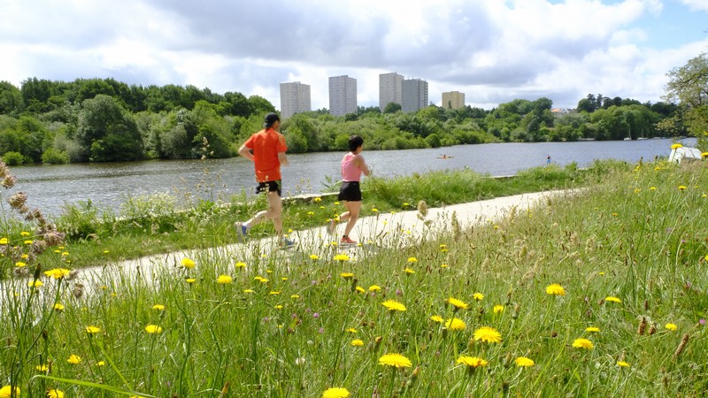 Parcours bords de l'Erdre