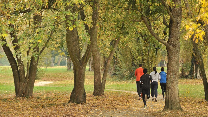 Parcours autour de l'île de Nantes