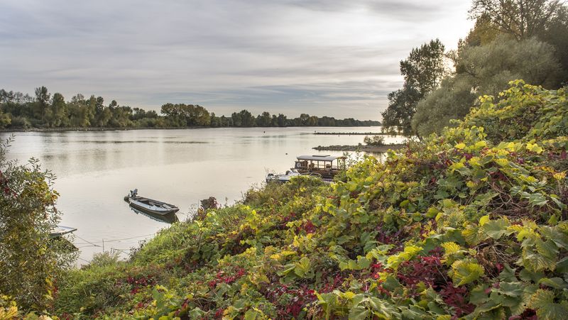 La Compagnie des Bateaux du Vignoble Nantais