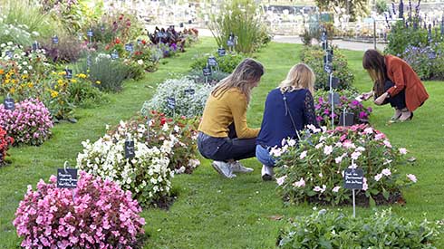 Espaces verts et environnement