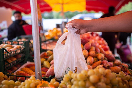 Image Marché de la Petite-Hollande