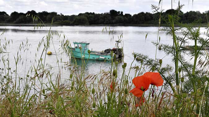 Les bords de Loire