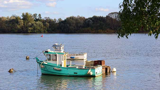 Les bords de Loire