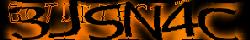 Saisir le CAPTCHA dans l'image